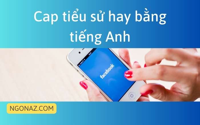 Cap tiểu sử hay bằng tiếng Anh