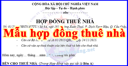 Mẫu hợp đồng thuê văn phòng công ty mới nhất năm 2024