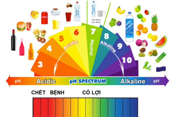 pH là gì?  Cách tính pH & pH của một số dung dịch