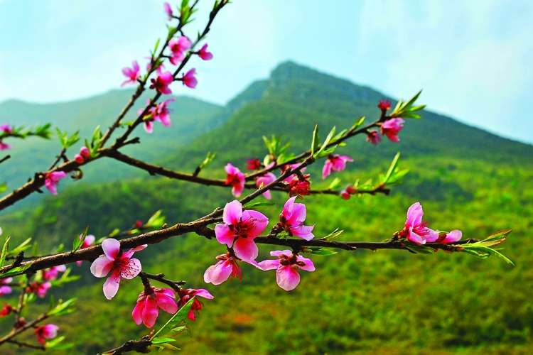 STT Đầu Năm Mới