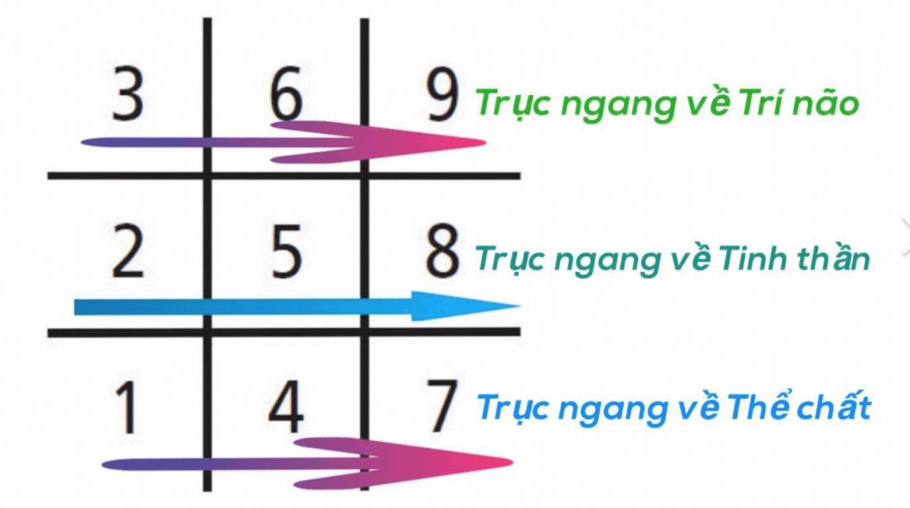 Biểu đồ ngày sinh Thần số học 5