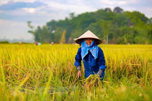 Có những ngày lễ nào trong tháng 10?  5