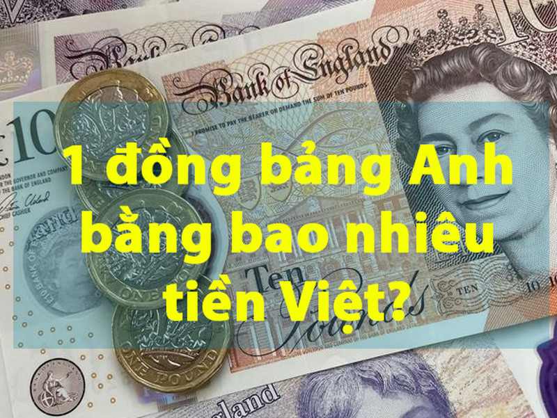 1 Bảng Anh bằng bao nhiêu Đồng Việt Nam? Xem tỷ giá hối đoái mới nhất