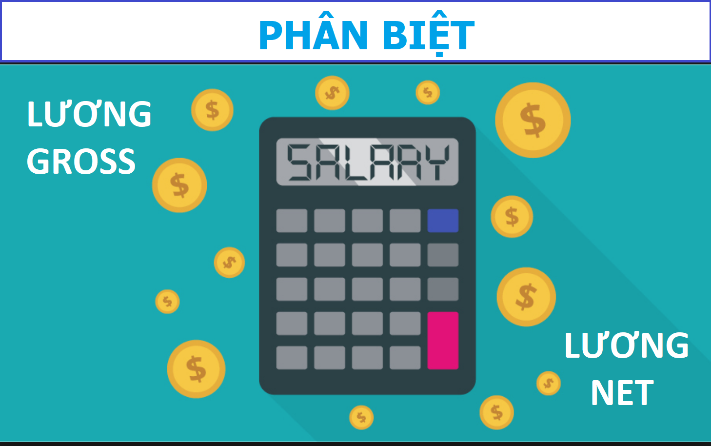 Phân biệt lương NET và lương Gross năm 2021 - Phần mềm nhân sự Paradise HR