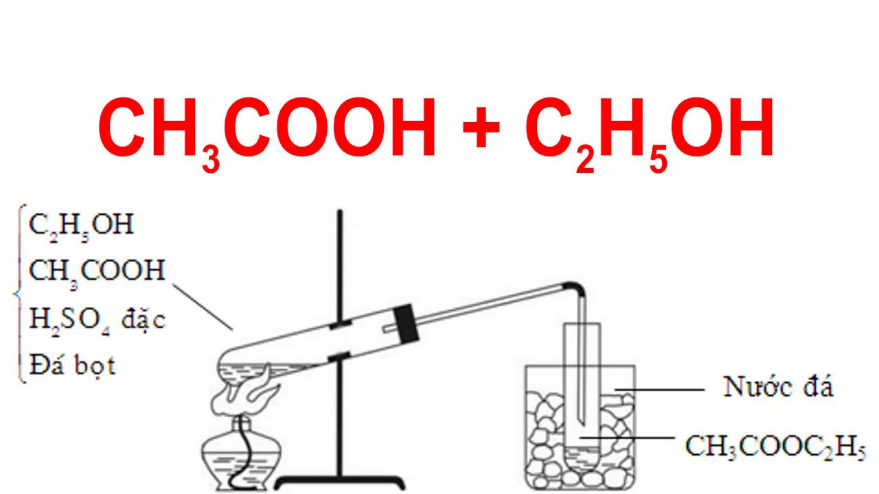 Phản ứng este hóa etyl este CH3COOH + C2H5OH → CH3COOC2H5 + H2O