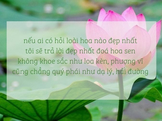 Kết luận chung cho đề xuất bài văn nghị luận văn học trong chương trình Văn học lớp 12