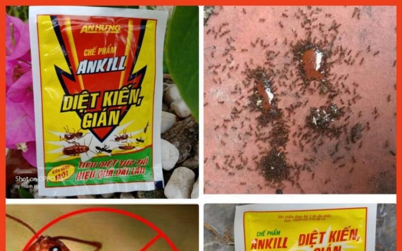 Bột diệt kiến Ankill ở sân vườn