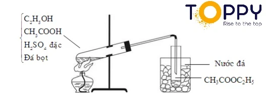 Phản ứng CH3CHO + H2 → C2H5OH Mọi thứ bạn cần biết