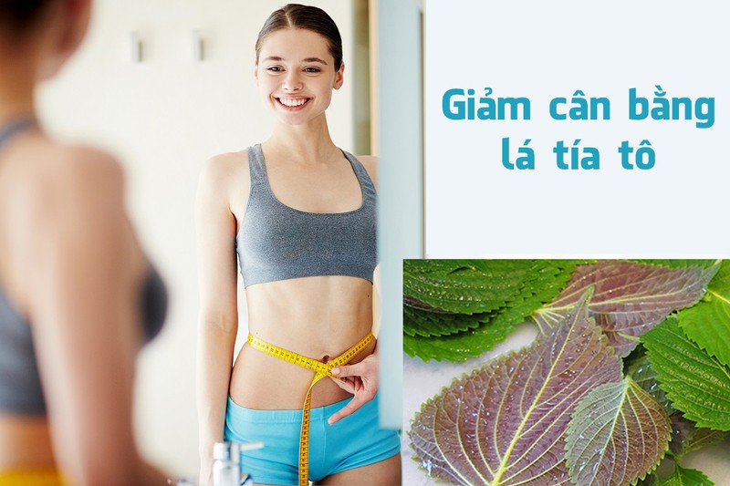 Tía tô giúp giảm cân và thích hợp cho người ăn kiêng