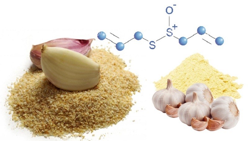 Lợi ích của việc sử dụng bột tỏi 