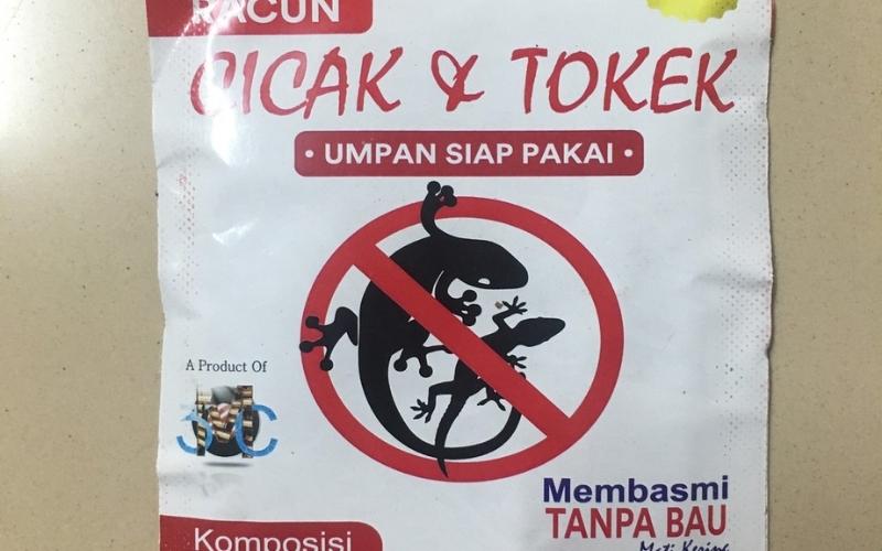 Kẻ giết thằn lằn Cicak Tokek