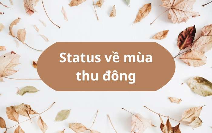 Status về mùa thu đông