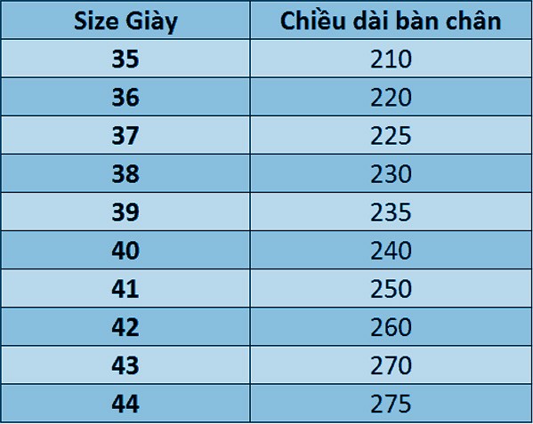 Cách chọn size giày 9