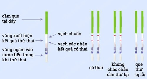 Cách sử dụng que thử thai 5