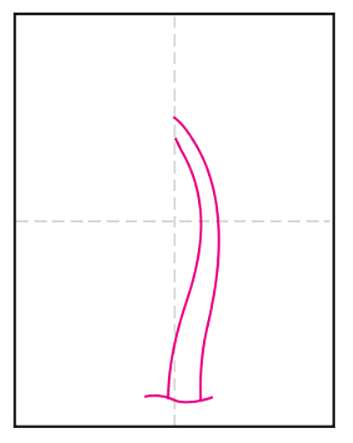 Cách vẽ cây dừa 4