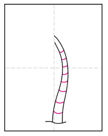 Cách vẽ cây dừa 5