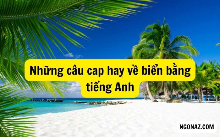 Những câu cap hay về biển bằng tiếng Anh