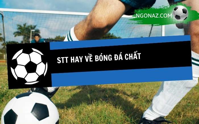 STT hay về bóng đá chất