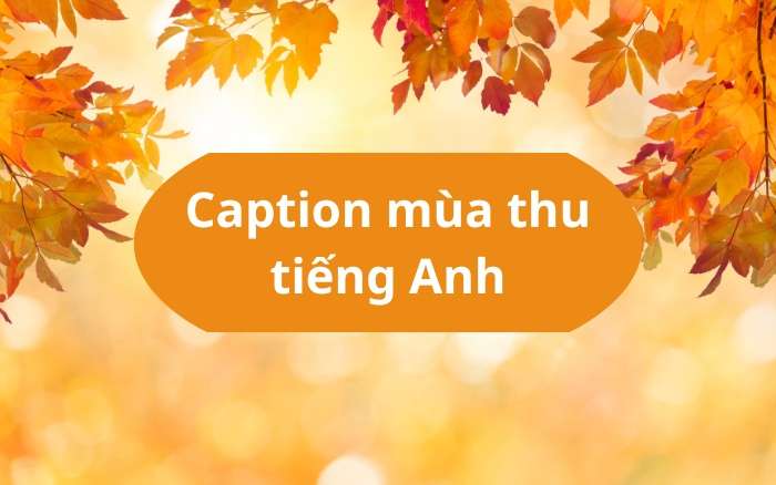 Caption mùa thu tiếng Anh