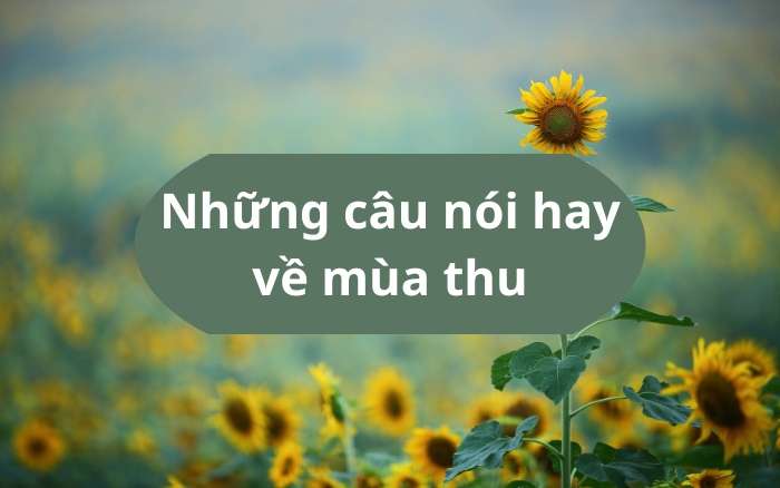 Những câu nói hay về mùa thu