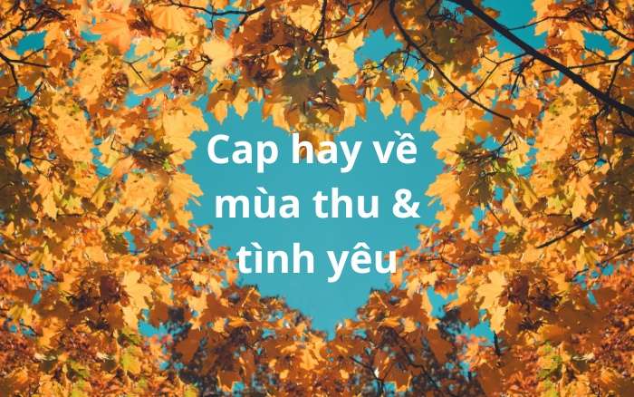 Cap hay về mùa thu và tình yêu