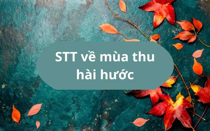 STT về mùa thu hài hước