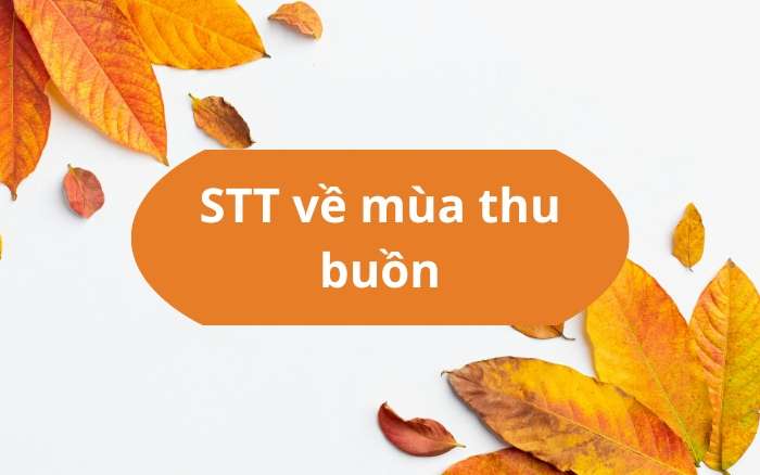 STT về mùa thu buồn