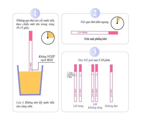 Cách sử dụng que thử rụng trứng 3