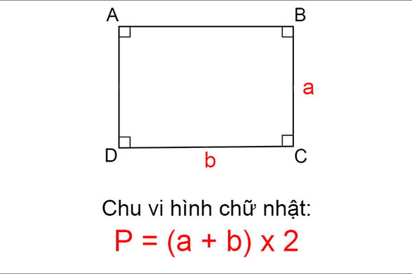 Công thức tính chu vi và diện tích hình chữ nhật - AMA - AMA Tiếng Anh