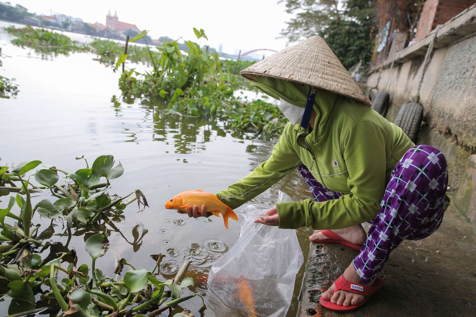 Hình ảnh anh Tảo về trời đẹp nhất