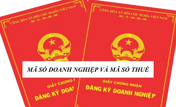 Số đăng ký kinh doanh và mã số thuế có giống nhau không?