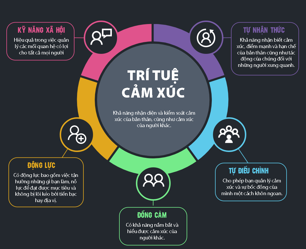 Trí tuệ cảm xúc: Trí tuệ cảm xúc dành cho nhà lãnh đạo