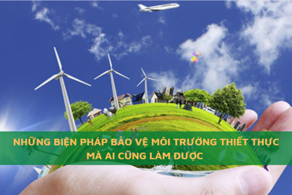 Các biện pháp bảo vệ môi trường thiết thực mà bất kỳ ai cũng có thể làm