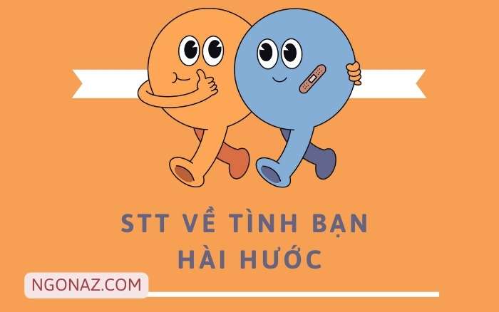 STT về tình bạn hài hước