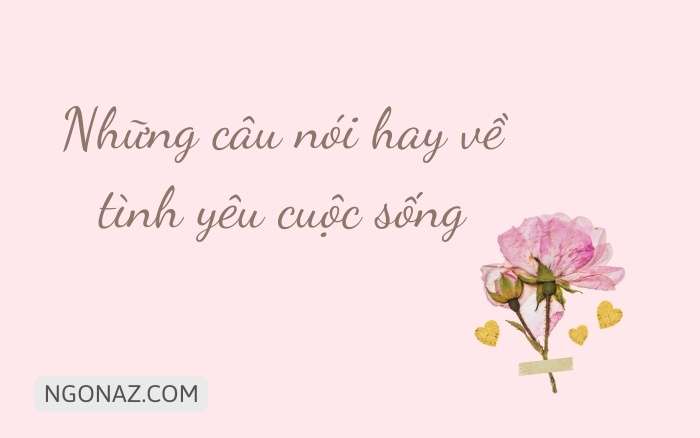 Những câu nói hay về tình yêu cuộc sống