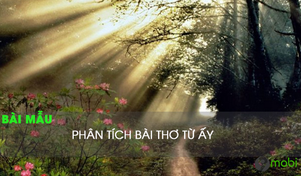 Phân tích bài thơ Từ ấy của Tố Hữu chọn lọc hay nhất