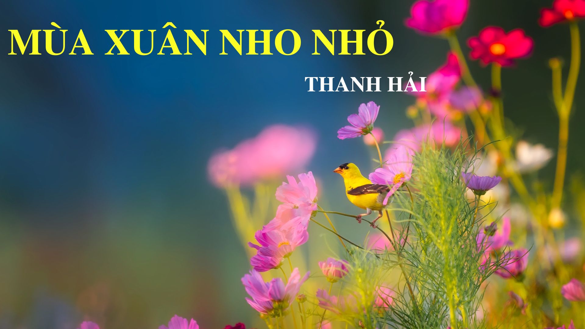 Phân tích bài thơ Mùa xuân nhỏ của tác giả Thanh Hải - HOCMAI