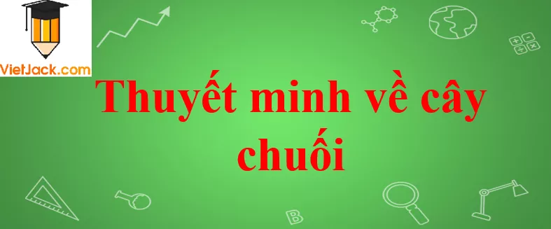 Mô tả cây chuối