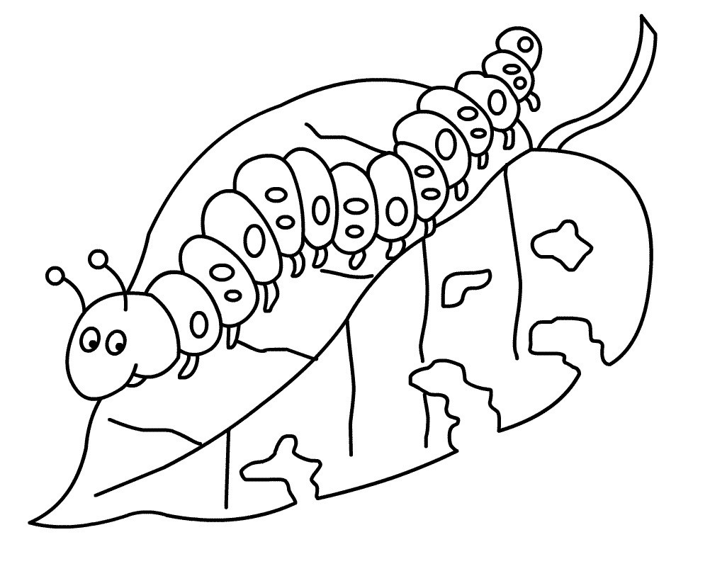 Vẽ một con sâu 11