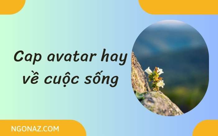 Cap avatar hay về cuộc sống