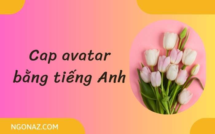 Cap avatar bằng tiếng Anh