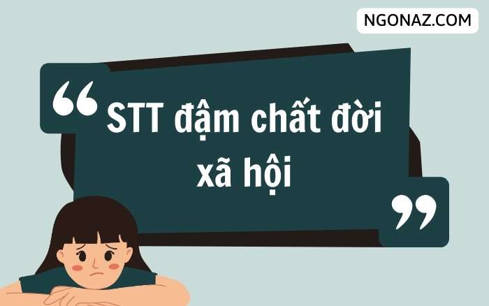 STT đậm chất đời xã hội