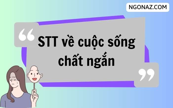 STT về cuộc sống chất ngắn