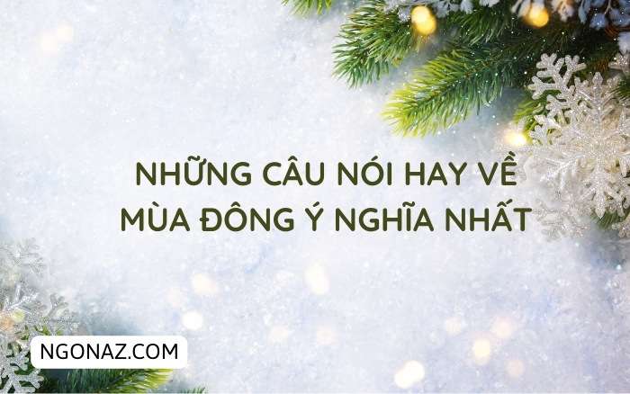 Những câu nói hay về mùa đông ý nghĩa nhất