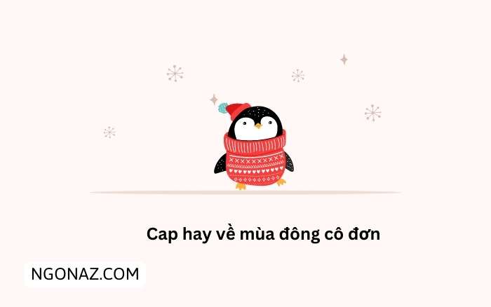 Cap hay về mùa đông cô đơn