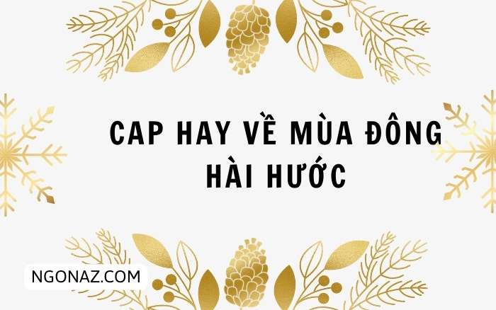 Cap hay về mùa đông hài hước