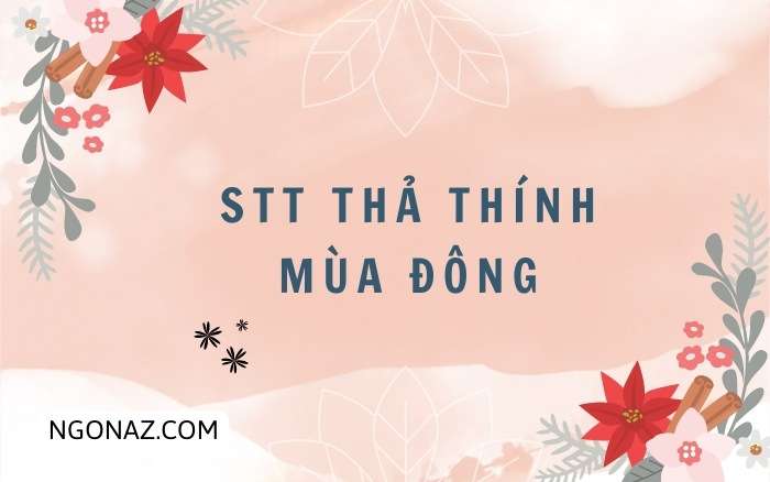 STT thả thính mùa đông