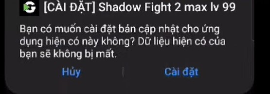 Hacker Shadow Fight 2 5