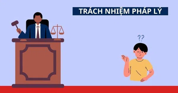 Trách nhiệm pháp lý là gì? Đặc điểm và phân loại trách nhiệm pháp lý