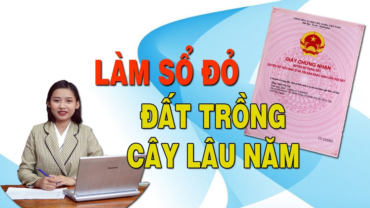 Đất trồng cây lâu năm có được cấp sổ đỏ không? - YouTube